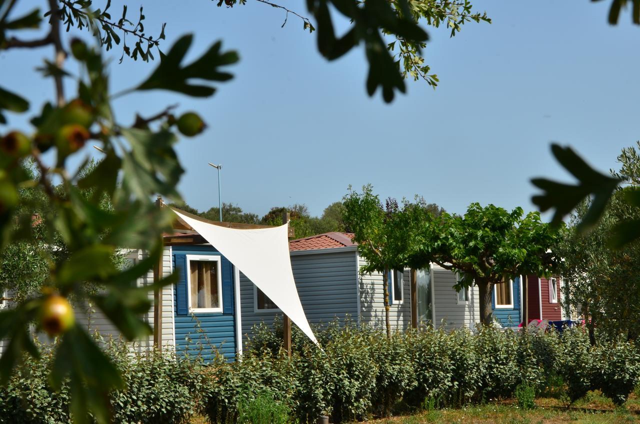 Domaine Sainte Veziane Hotel Bessan Kültér fotó